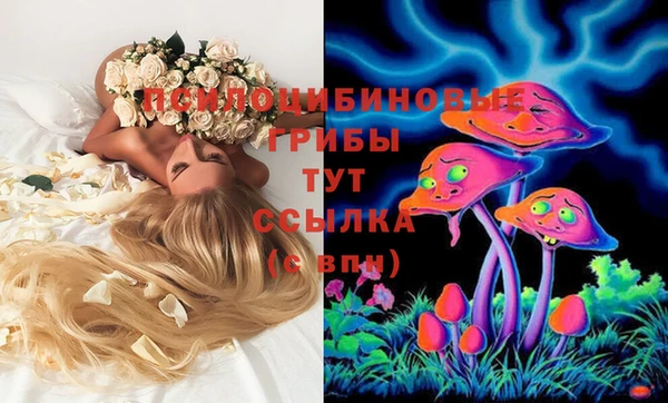 Альфа ПВП Абинск