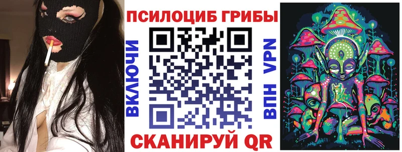 MEGA наркошоп Орёл Псилоцибиновые грибы Psilocybe